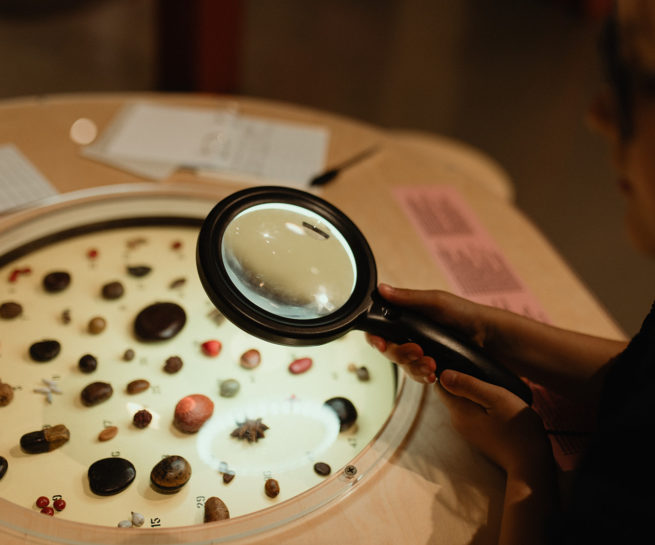 Graines à la loupe !